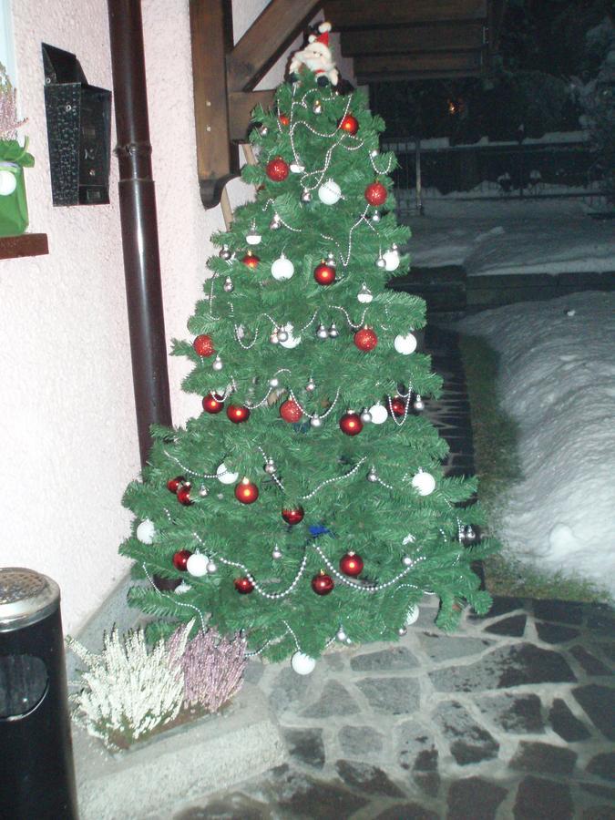 Casa Salvaterra Guest house